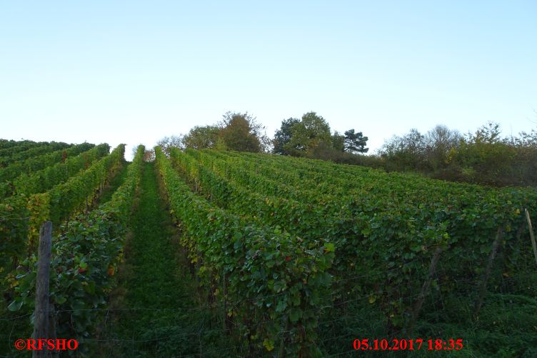 von der AKNZ nach Ahrweiler