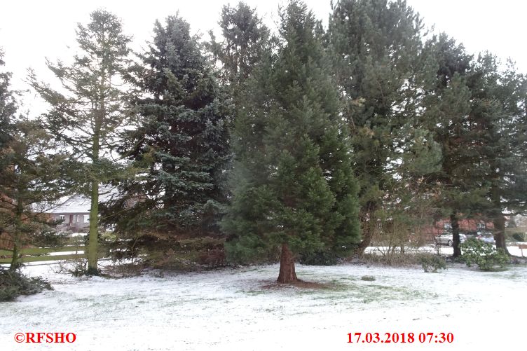 Ringstraße, Schnee