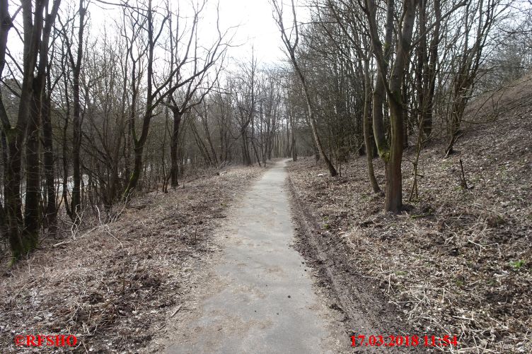 Weg zum Teufelsberg