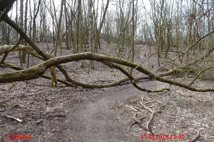 Weg zum Teufelsberg