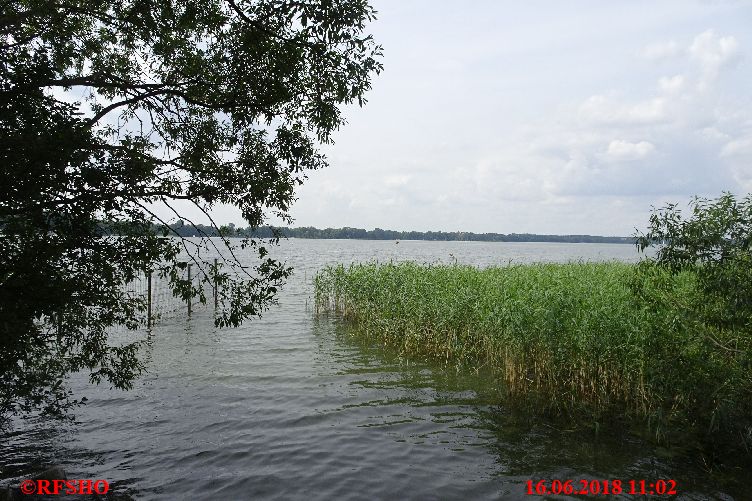 Arendsee