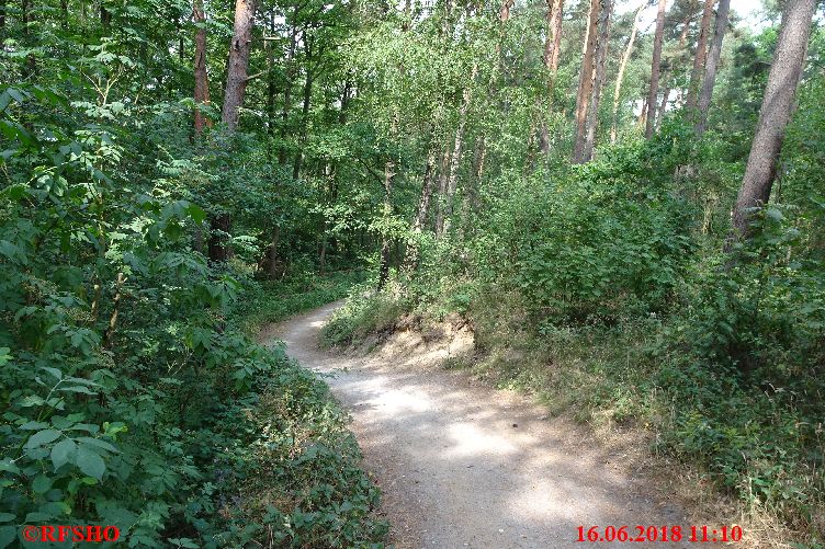 Arendsee