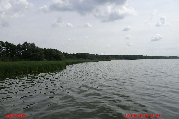 Arendsee