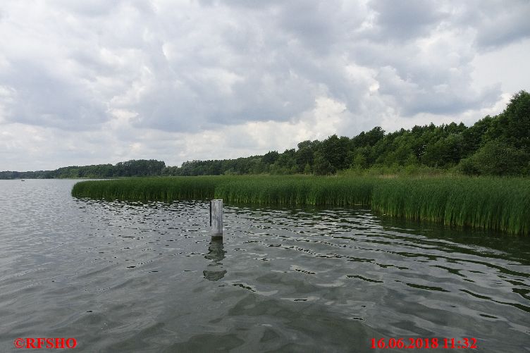 Arendsee