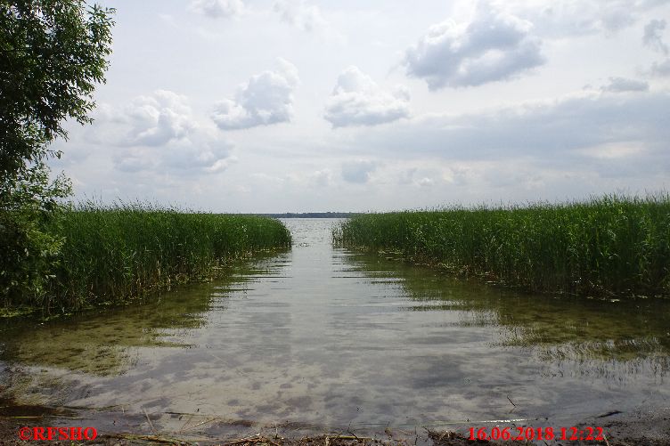 Arendsee