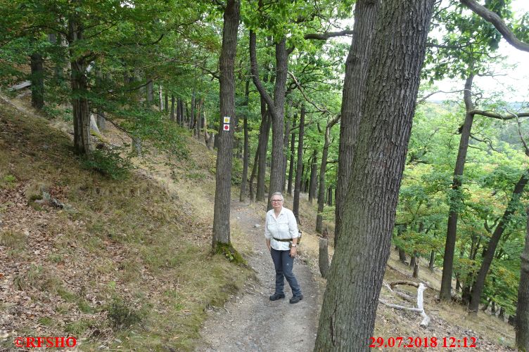 Harzwanderung