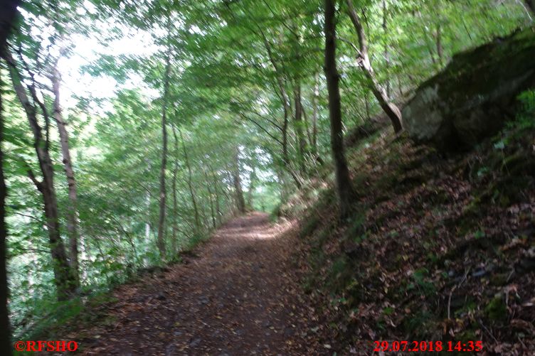 Harzwanderung