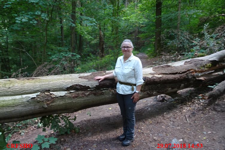 Harzwanderung