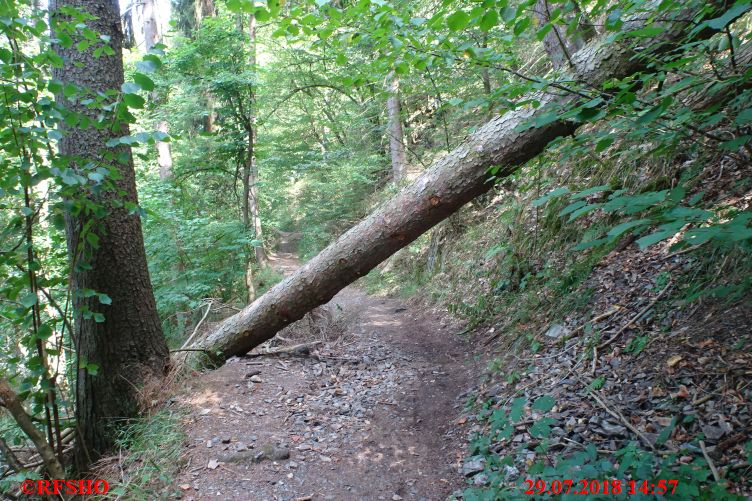 Harzwanderung