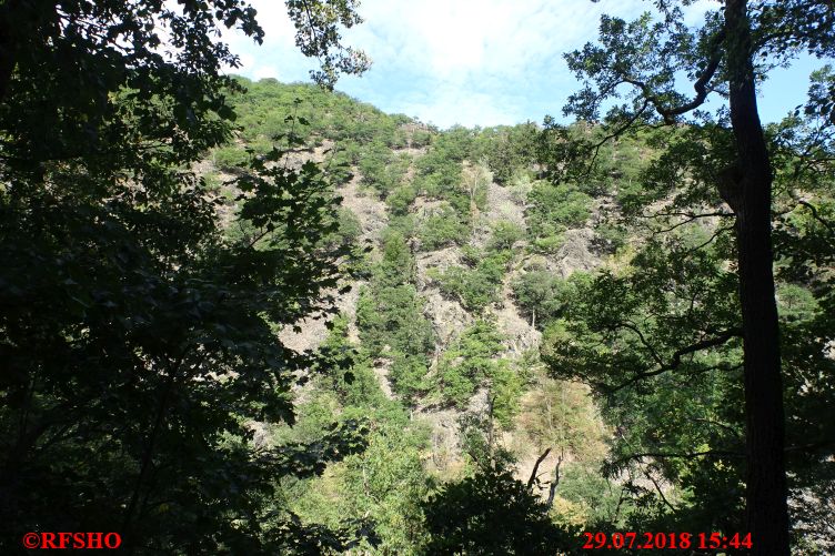 Harzwanderung