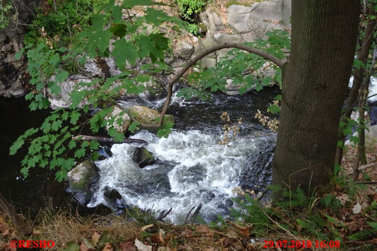 Harzwanderung