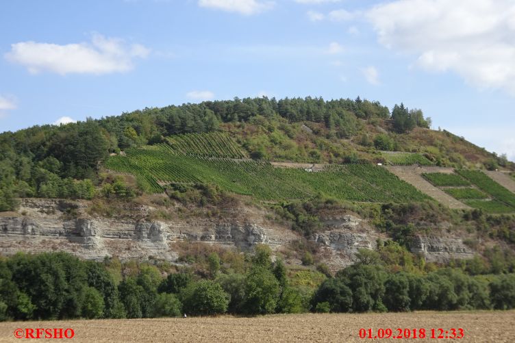 Wanderung von der Karlsburg  über Himmelstadt nach Karlstadt
