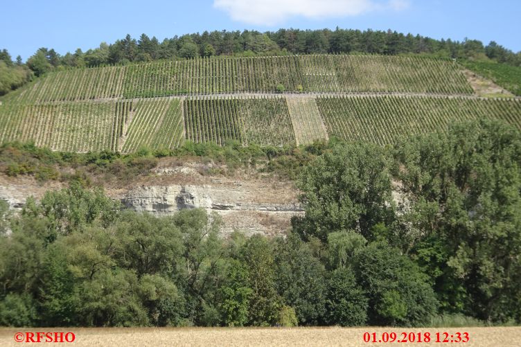 Wanderung von der Karlsburg  über Himmelstadt nach Karlstadt