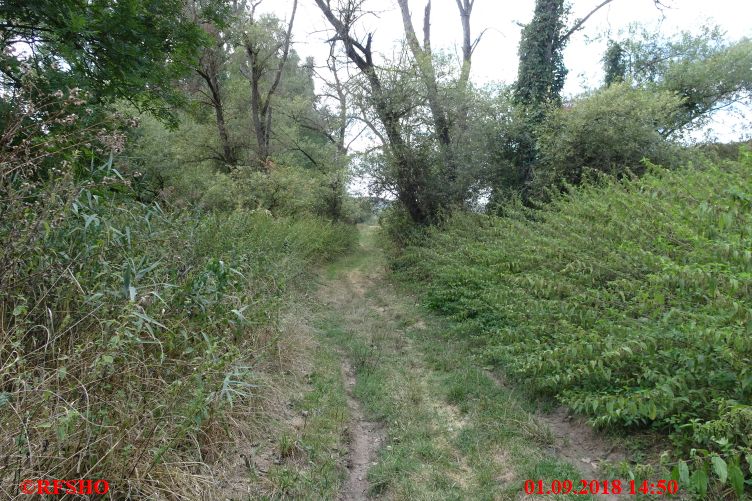 Wanderweg von Himmelstadt nach Karlstadt