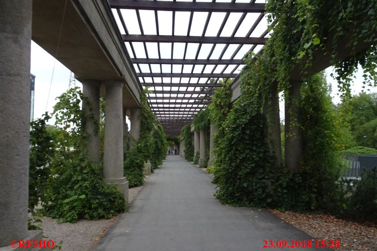 Japanischer Garten