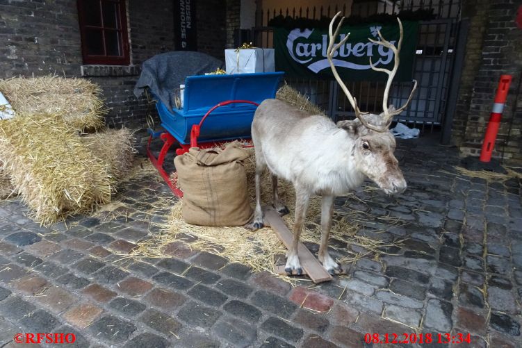 Visit Carlsberg