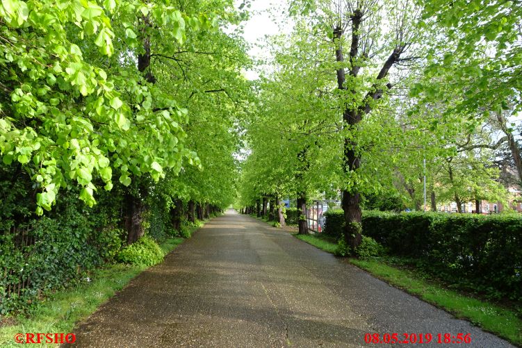 Wellingborough