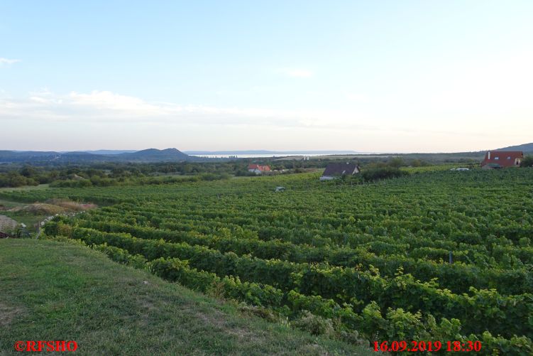 Balatonfüred, Weinprobe