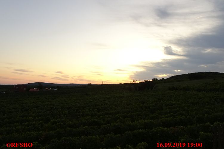 Balatonfüred, Weinprobe