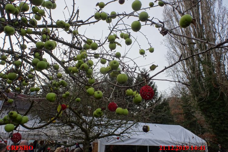 Advent in den Weinbergen, Roßbach 