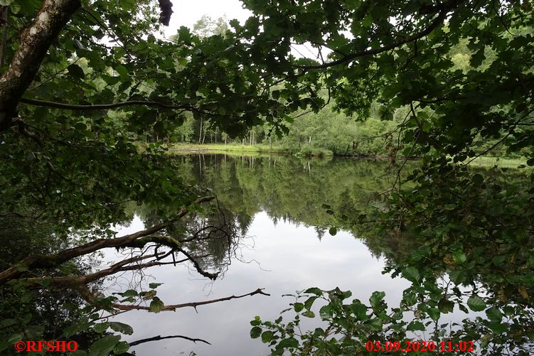 Grenzweg, Spießweiher