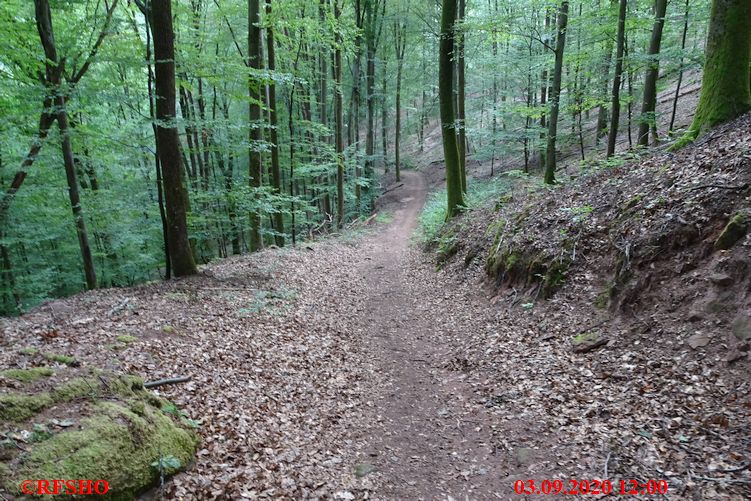 Grenzweg, Grenze D / F