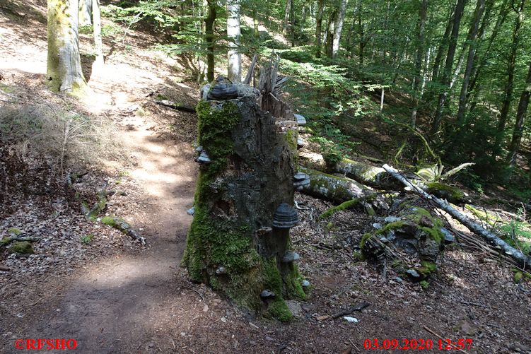 Grenzweg, Grenze D / F