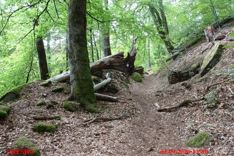 Grenzweg, Grenze D / F