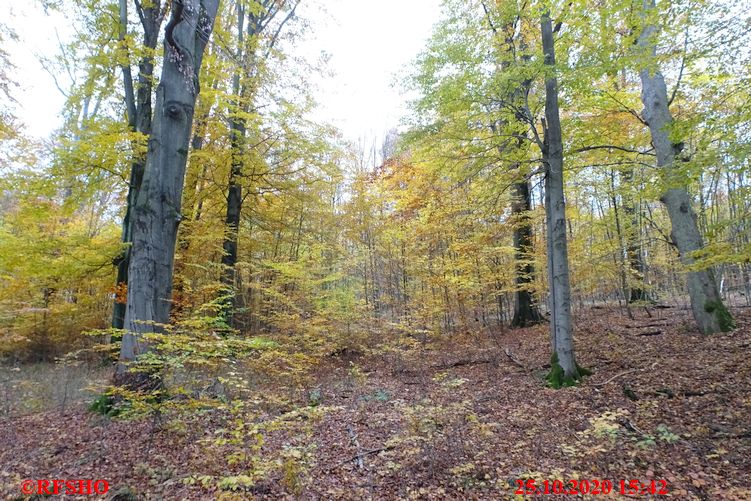 Wanderweg von der Stabkirche Stiege