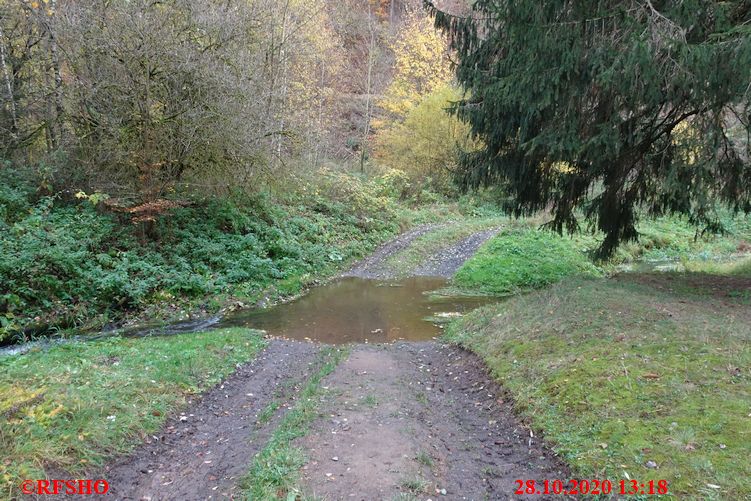Katzsohlbach
