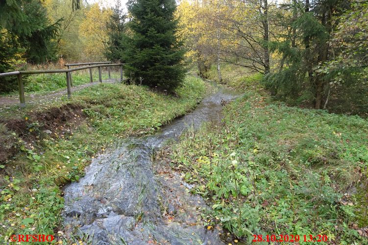 Katzsohlbach