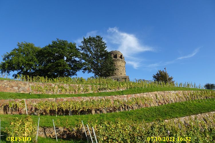 Weinberg am Bismarkturm 