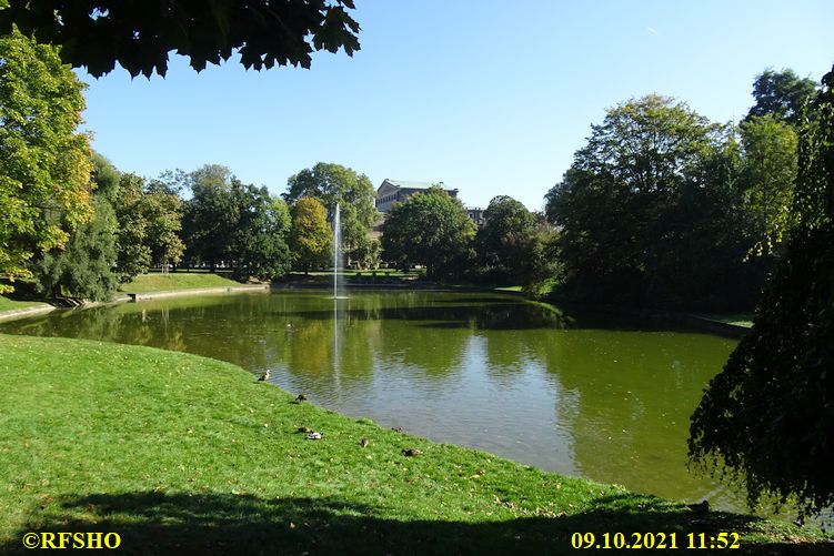 Dresden Zwingerteich