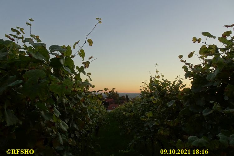 Weinberg Haus Steinbach