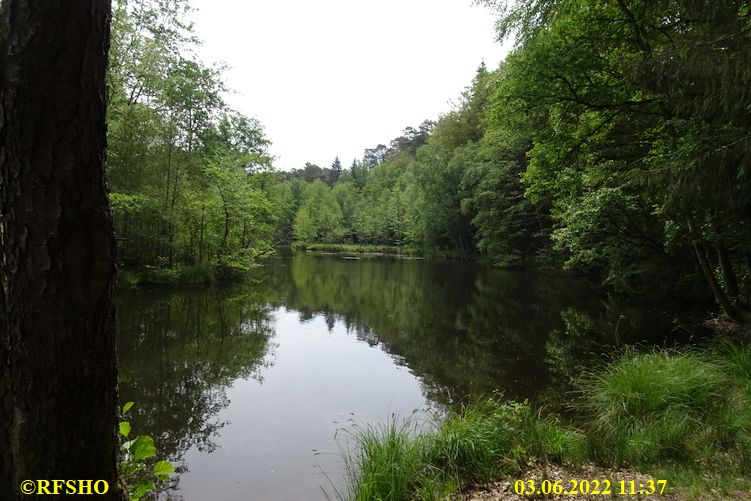 Wanderung Hohler Felsen