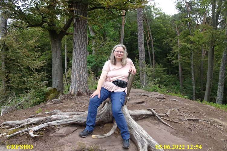 Wanderung Hohler Felsen