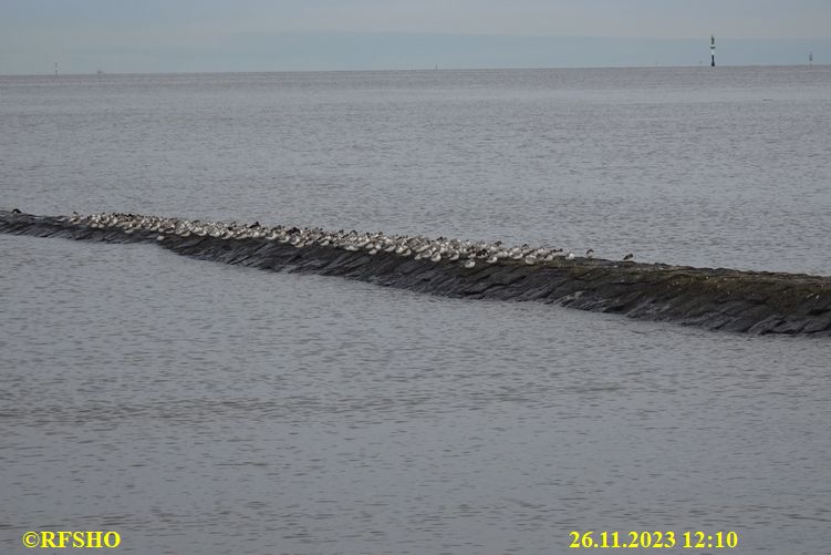 Hafen, Elbe, Nordsee