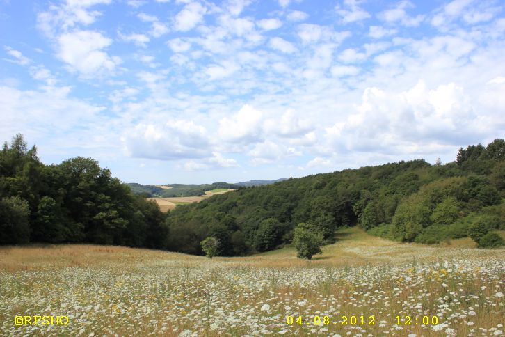 Mittelalterpfad