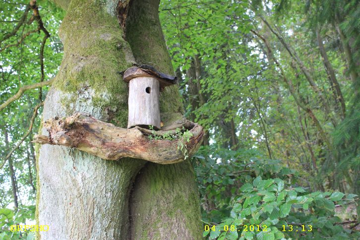 Mittelalterpfad