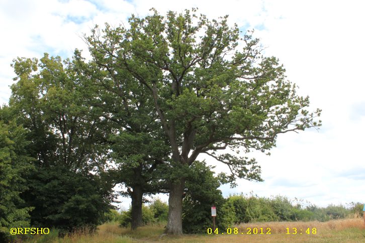 Mittelalterpfad