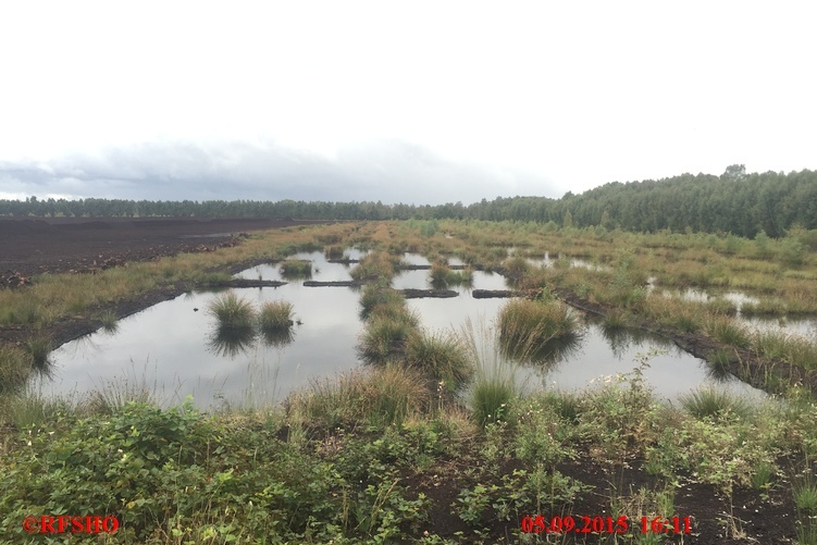 Großes Moor