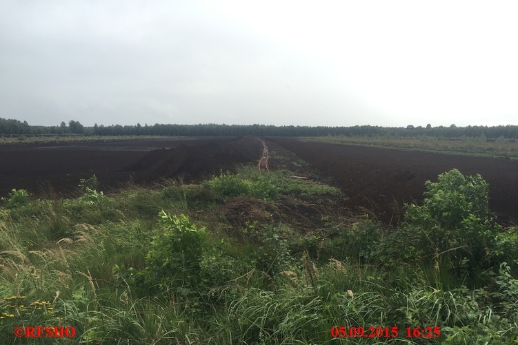 Großes Moor